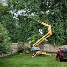 Best Lawn Pest Prevention  in Verona, WI