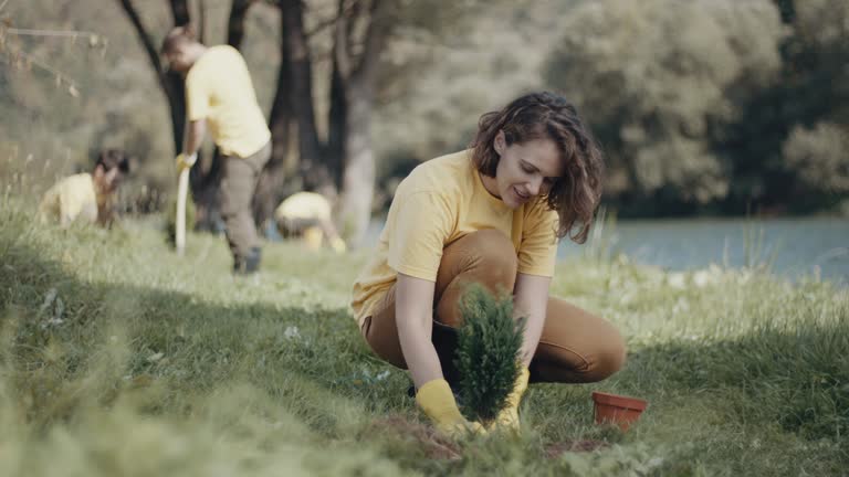 Best Lawn Drainage Solutions  in Verona, WI